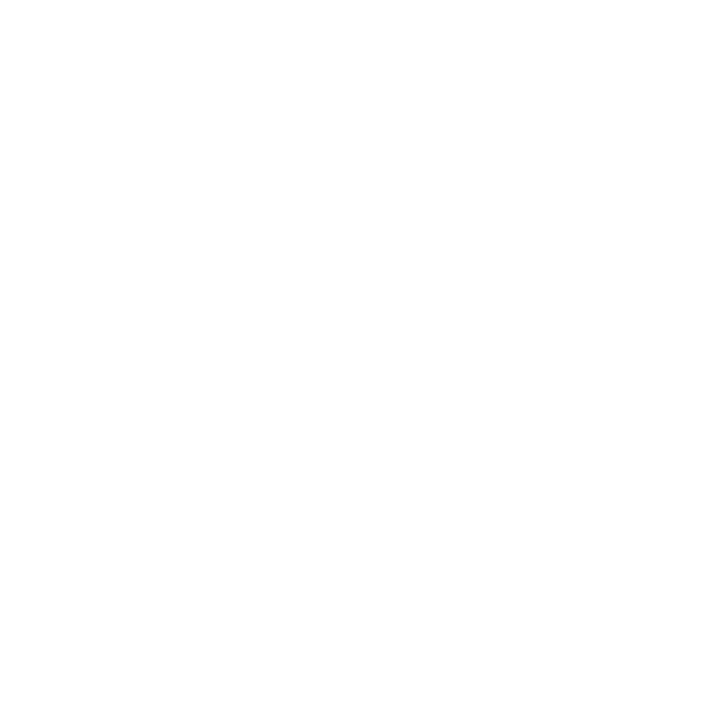 Flite Logo